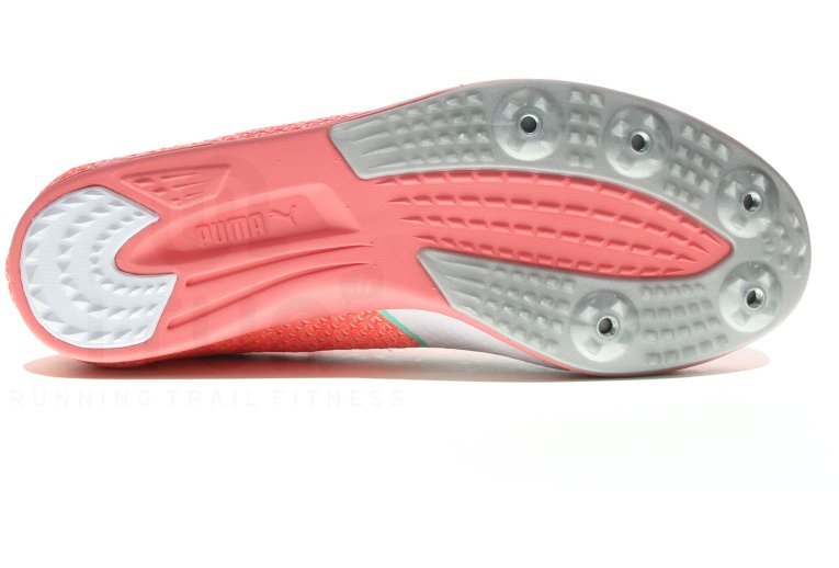 Puma EvoSpeed Distance 8 Damen