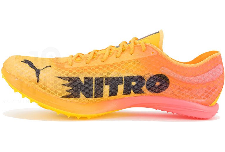 Puma evoSPEED Distance Nitro Elite+ 4