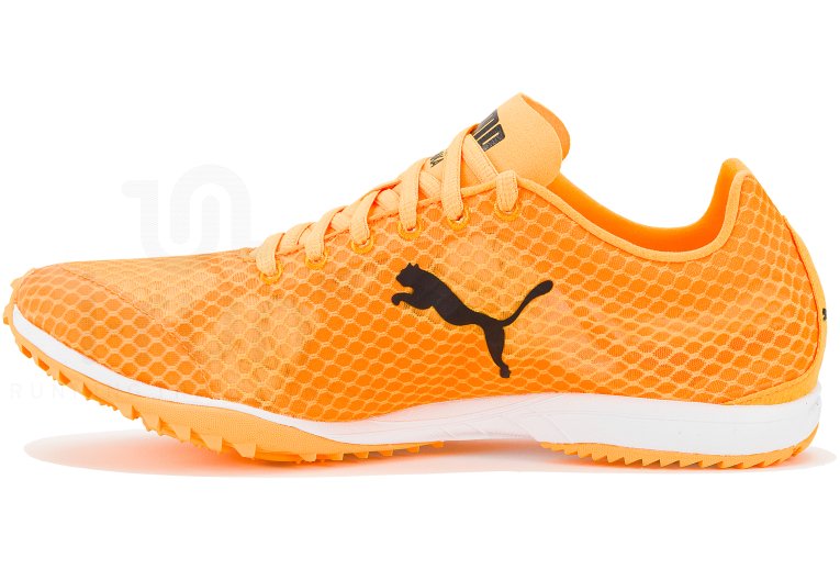 Puma evoSPEED Haraka 7 Damen