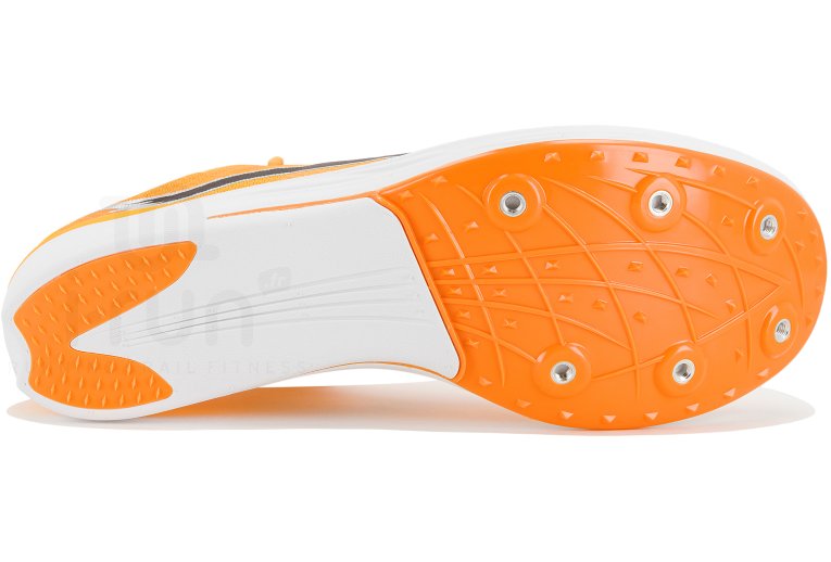 Puma evoSPEED Long Distance Damen
