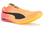 Puma evoSPEED Long Distance Nitro Elite+ 2 Herren