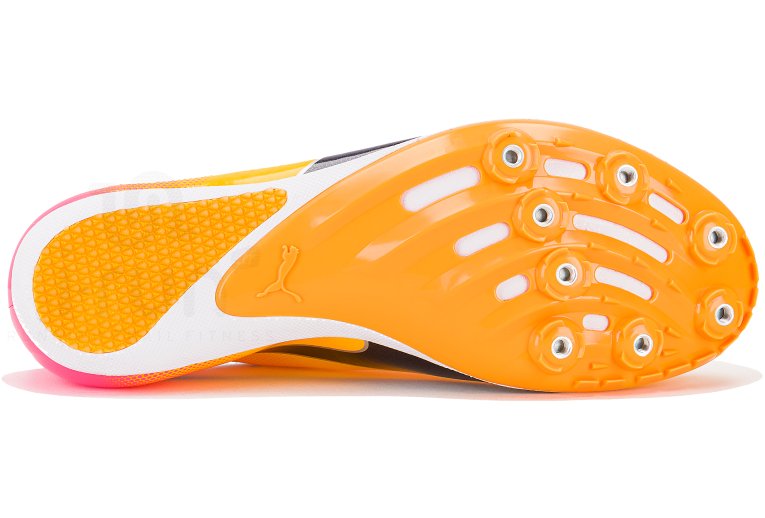 Puma evoSPEED Sprint 14 M