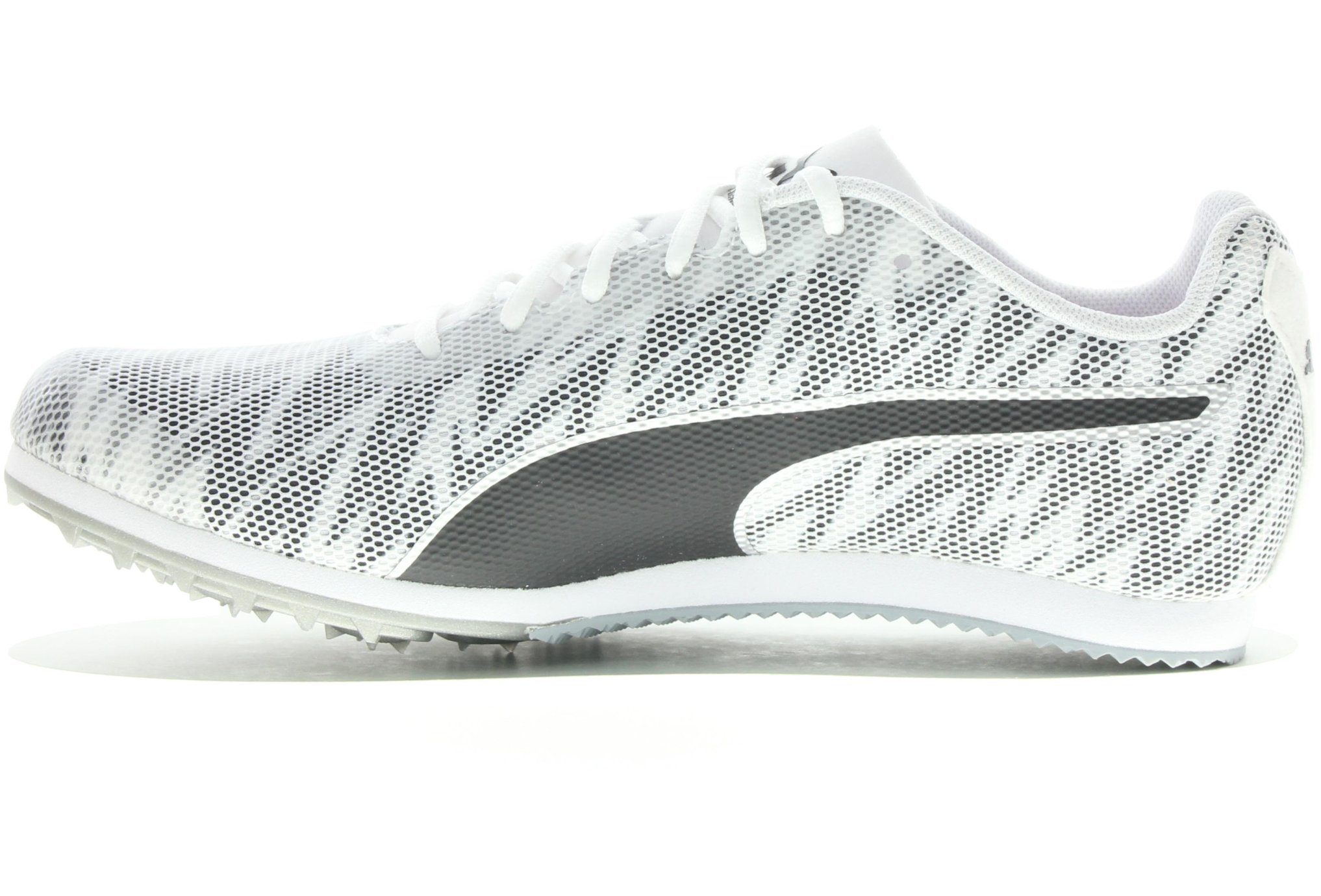 puma evospeed 7