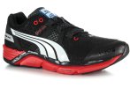 Puma Faas 100 V1.5