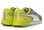 Puma Faas 300 V4
