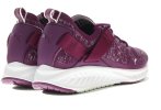 Puma Ignite EvoKnit Lo