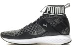 Puma Ignite EvoKnit