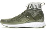 Puma Ignite EvoKnit