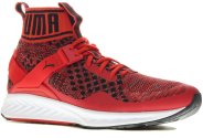 Puma Ignite EvoKnit M