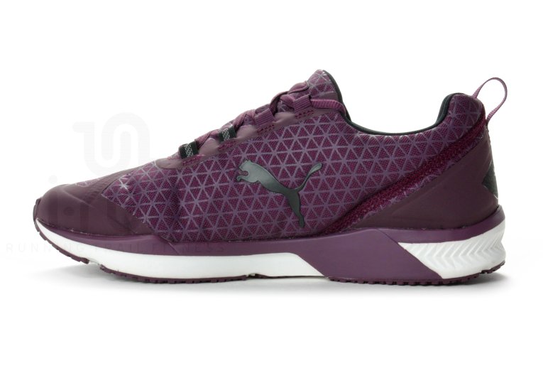 ignite xt