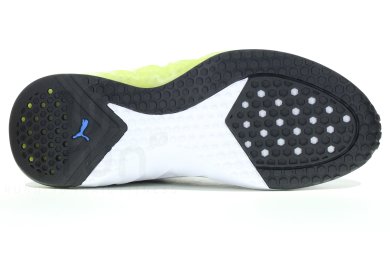 photo puma noir
