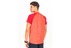 Raidlight camiseta manga corta Ripstretch Eco Dry