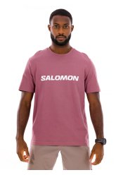 Salomon Big Logo