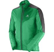 Salomon Fast Wing M