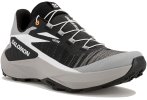Salomon Genesis M