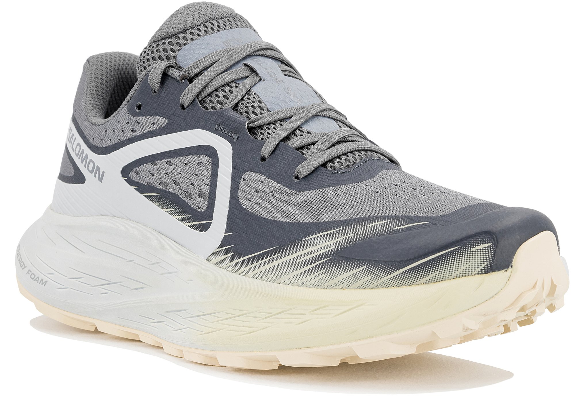 Salomon Glide Max TR Gris