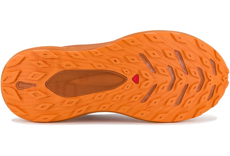 Salomon Glide Max TR Herren