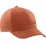 Salomon Logo