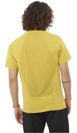 Salomon Outline