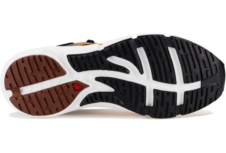 Salomon Predict 2 Herren