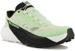 Salomon Pulsar Damen