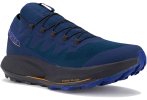 Salomon Pulsar Trail Pro