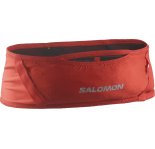 Salomon Pulse