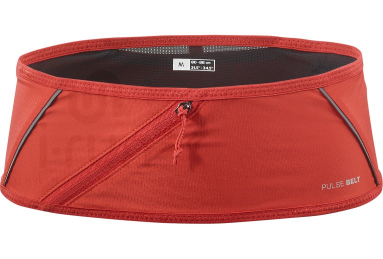 Salomon Pulse