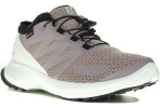 Salomon Sense Flow Gore-Tex