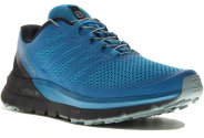 Salomon Sense Pro Max M