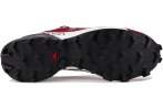 Salomon Speedcross 5 Gore-Tex Herren