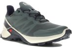 Salomon Supercrosss Gore-Tex