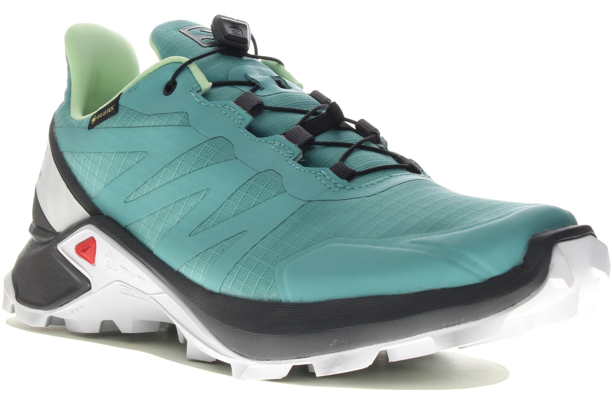 salomon fiery cross gore tex