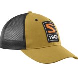 Salomon Trucker Curved