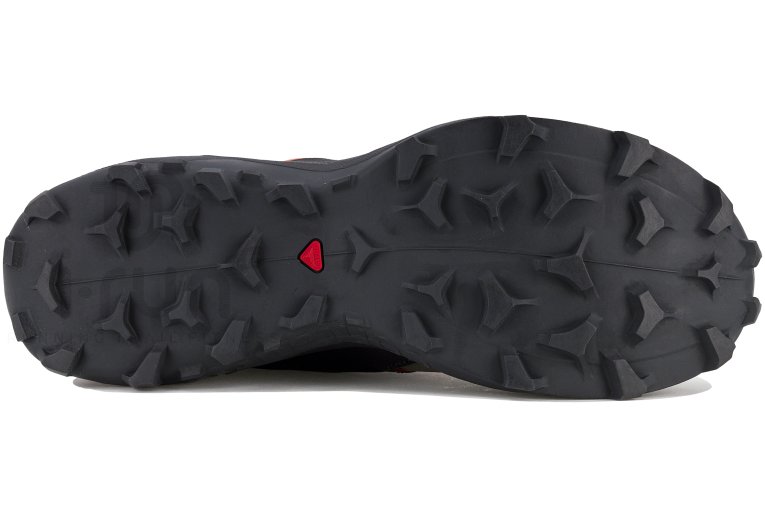 Salomon Wildcross 2 Gore-Tex Herren