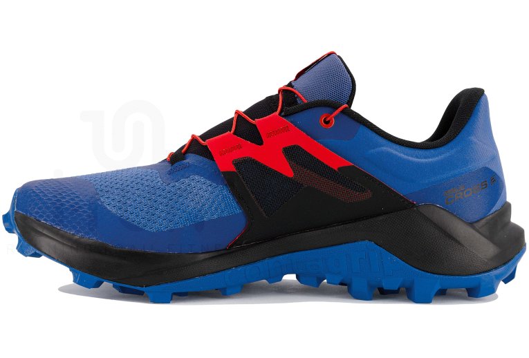 Salomon Wildcross 2 Herren