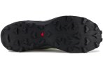 Salomon Wildcross 2 Herren