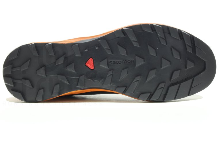 Salomon X Alpine Pro