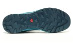Salomon X Alpine Pro