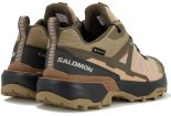 Salomon X Ultra 360 Gore-Tex