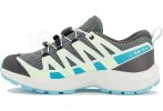 Salomon XA PRO V8