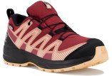 Salomon XA PRO V8 CSWP