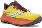 Saucony Peregrine 13