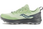 Saucony Peregrine 14 Gore-Tex Damen