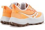 Saucony Peregrine 14