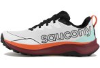 Saucony Peregrine 16