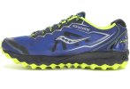 Saucony Peregrine 6