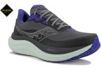 Saucony Triumph 23 Gore-Tex Damen