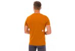 Saysky Logo Pace M Logo