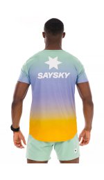 Saysky Reactive Flow